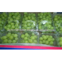 Fresh Grapes